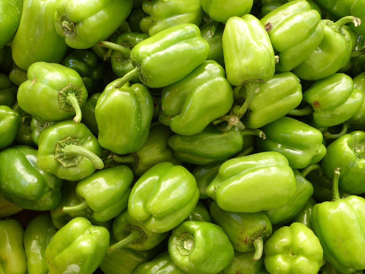 Poivron vert (kg)