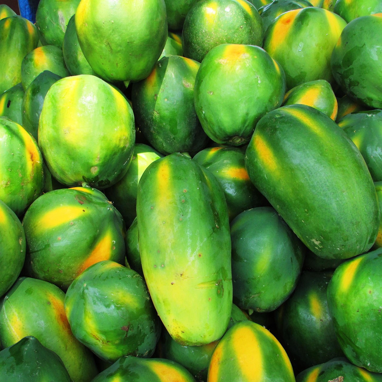 papaya, fruit, green, tropical, exotic, heap, malebennur, india, papaya, papaya, papaya, papaya, papaya